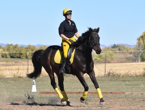 Dew Dress Canter R