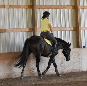 Dew Inside Trot R