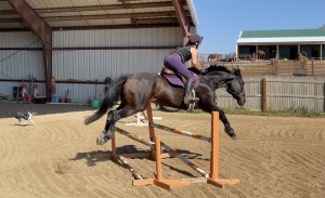 Dew Purple Orange Oxer3