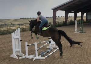Dew Swedish Oxer