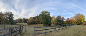 Fall Panorama