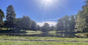 Lake at Home