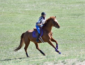 PeaGallopUpHill2