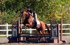 TCRJumpOver