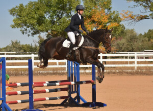 Kat Ana SJ Final Fence3